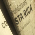 Logo Broedplaats Costa Rica 